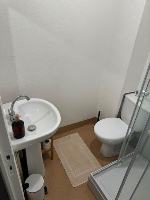Bel Appartement, Coeur De 莫尔莱 外观 照片